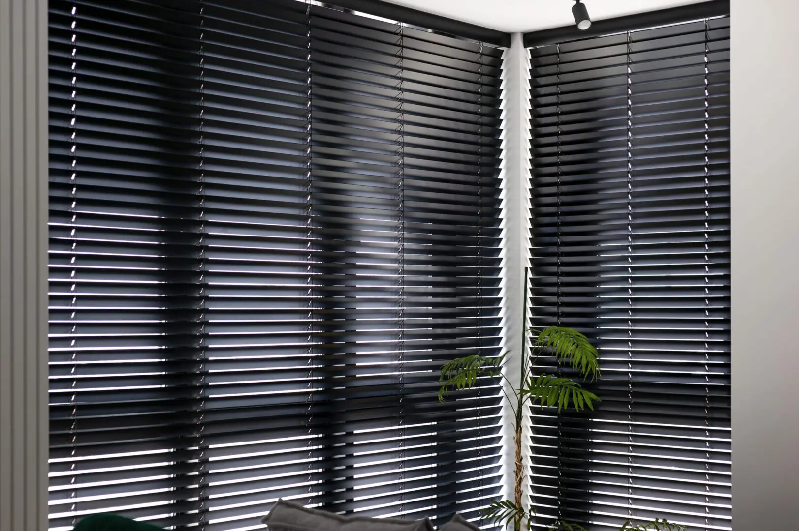 A room with blinds on the wall and a plant in front of it.